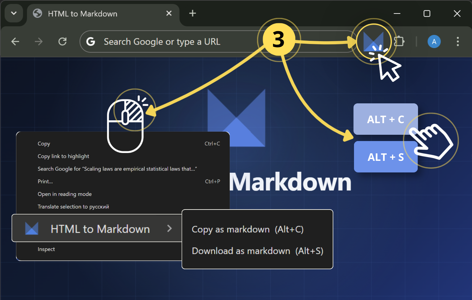 Step 2 — Use the extension